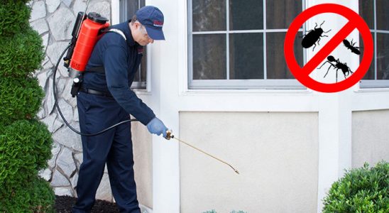 Gümüşhane Haşere İlaçlama böcek ilaçlama ve haşere kontrolü — ilaclama-tr.com